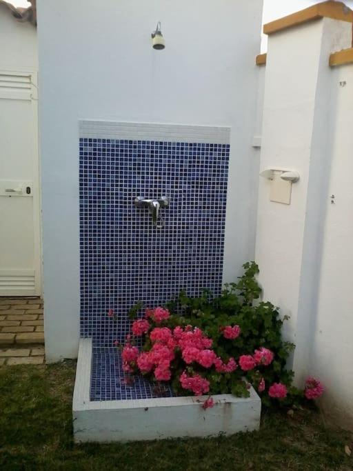 Villa El Magnolio à Chiclana de la Frontera Extérieur photo