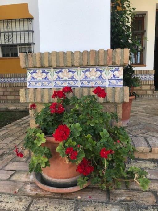 Villa El Magnolio à Chiclana de la Frontera Extérieur photo